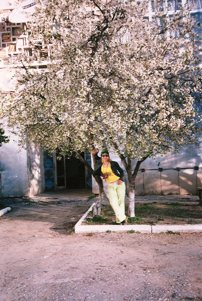 Цветущая вишня во дворе дома по улице Синицына, Хайдаркан, 2007 год