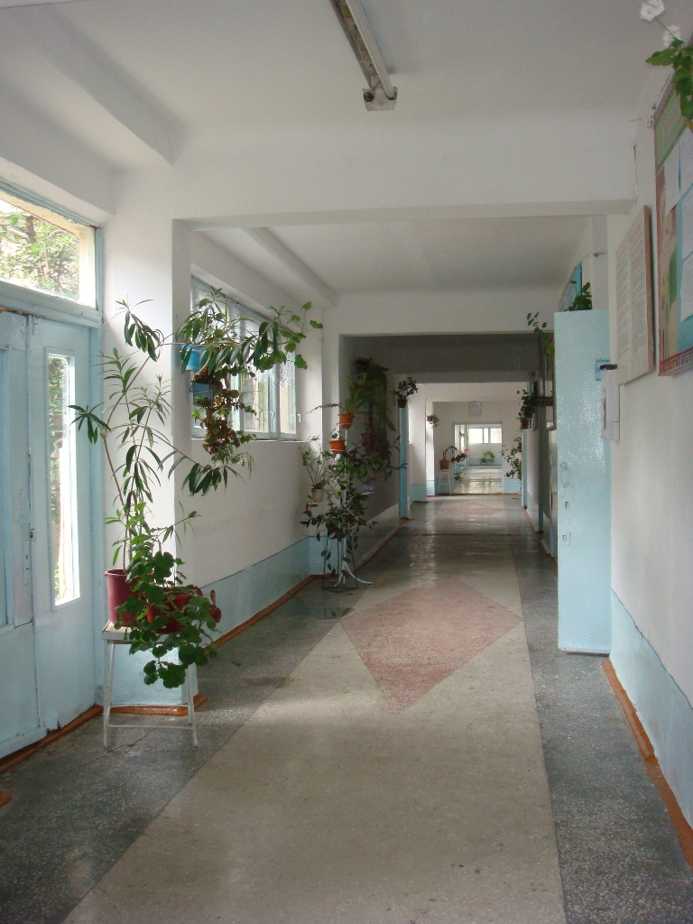 коридор школы № 20